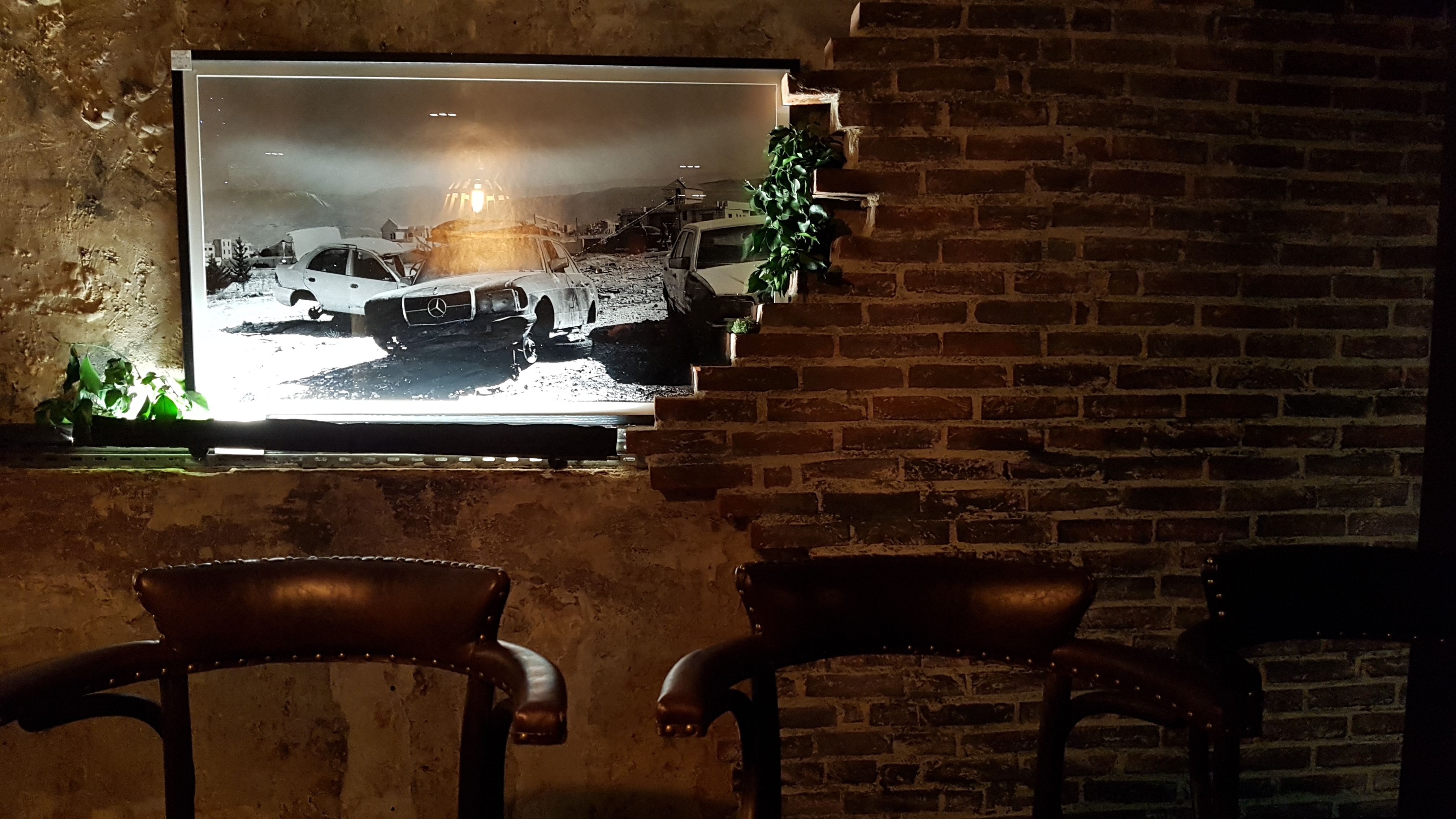 Photo n° 2 de l'avis de dodouard. fait le 20/02/2019 à 10:06