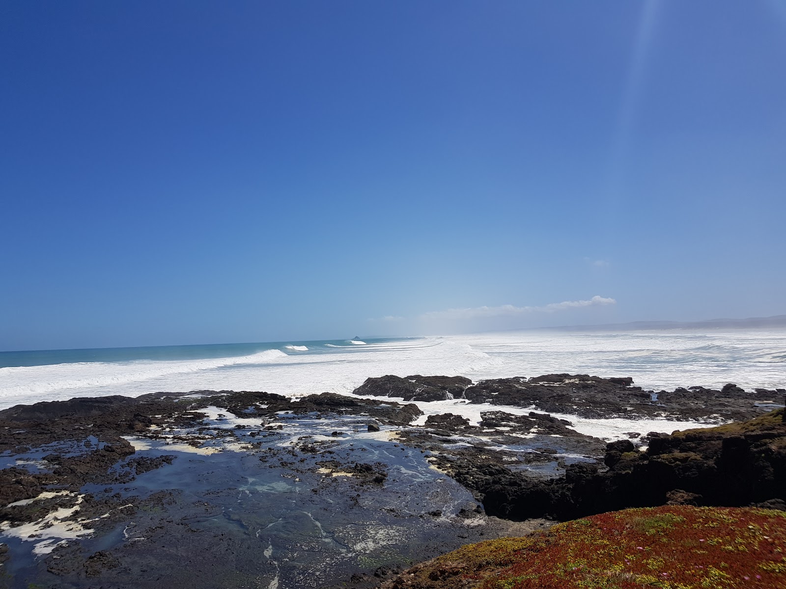 Foto von Maunganui Bluff Beach wilde gegend