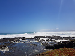 Zdjęcie Maunganui Bluff Beach dziki obszar