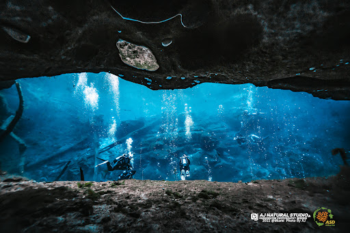 ASD Scuba Diving School image