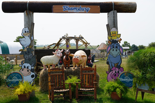 Tourist Attraction «Bloomsbury Farm», reviews and photos, 3260 69th St, Atkins, IA 52206, USA