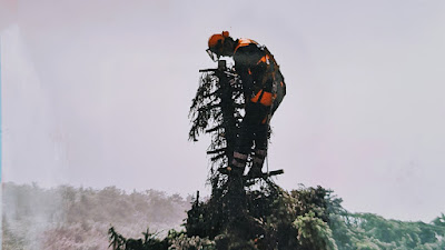 Ent Boiteau à Issenheim