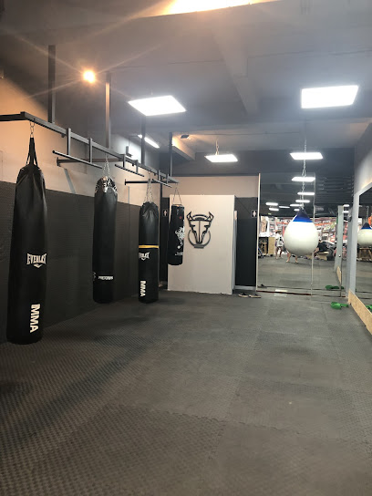 FIGHTFIT