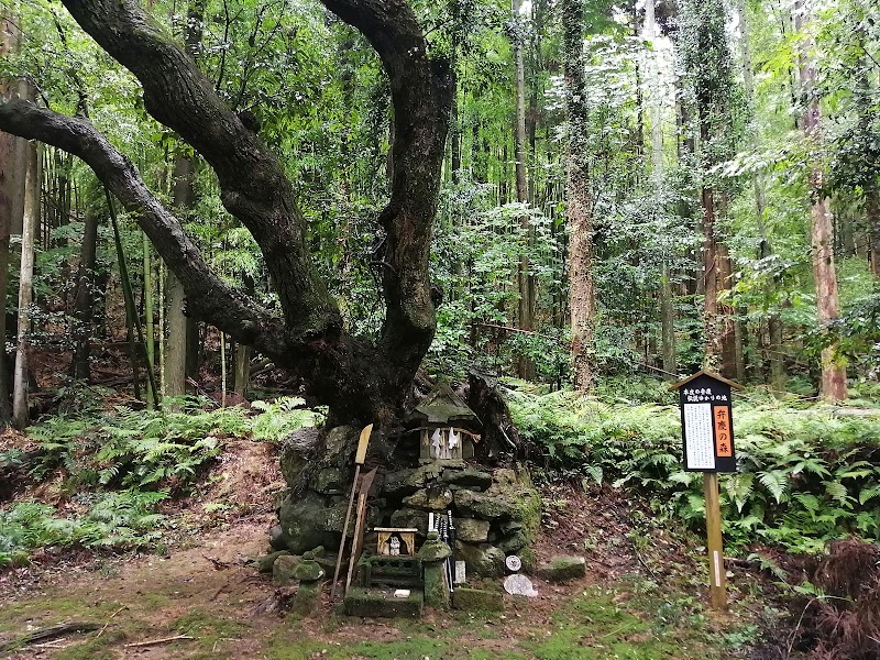 弁慶の森