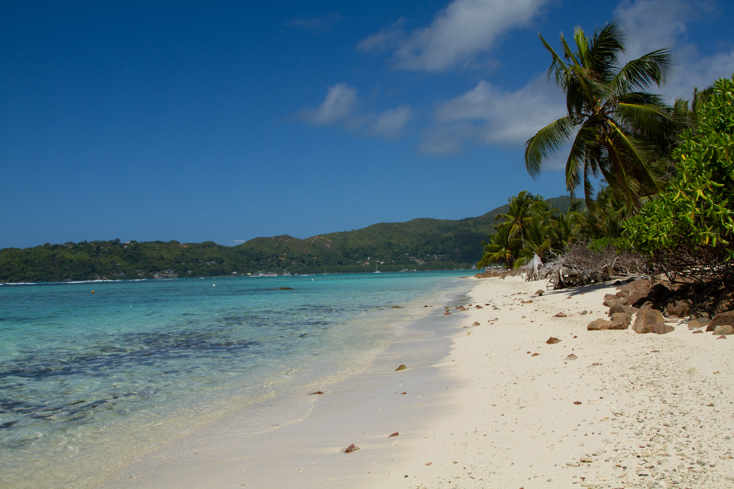 Foto von Anse La Farine Beach mit beiger sand Oberfläche