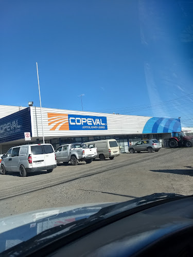 Copeval Chillán - Tienda