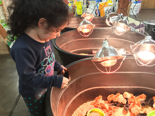 Animal Feed Store «Cerri Family Feed», reviews and photos, 2949 S Airport Way, Stockton, CA 95206, USA