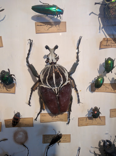 Museum «Woodman Museum», reviews and photos, 182 Central Ave, Dover, NH 03820, USA