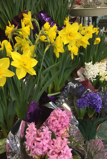 Garden Center «Royal Victorian Garden Center», reviews and photos, 10911 State Rd, Cleveland, OH 44133, USA