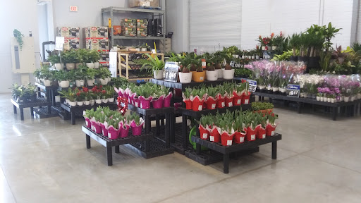 Department Store «Walmart Supercenter», reviews and photos, 10392 Fremont Pike, Perrysburg, OH 43551, USA