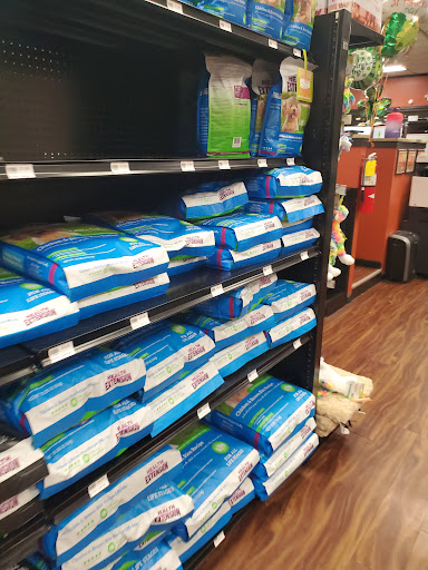 Pet Store «Petland Kennesaw», reviews and photos, 840 Ernest W Barrett Pkwy NW #494, Kennesaw, GA 30144, USA