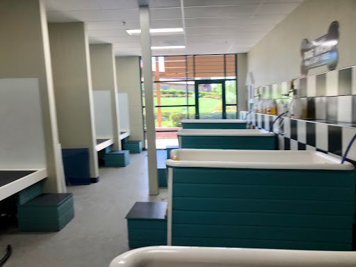 Pet Supply Store «Bark Avenue», reviews and photos, 3919 Park Dr, El Dorado Hills, CA 95762, USA