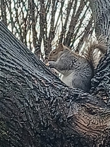 Park «Elmhurst Park», reviews and photos, 57th Ave & Grand avenue, Queens, NY 11373, USA