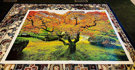 AlphaGraphics West Jordan, 1231 W 9000 S A, West Jordan, UT 84088, USA, 