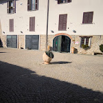 Photo n°12 de l'avis de Jano.c fait le 27/01/2024 à 15:41 sur le  Agriturismo Bodrito à Cessole