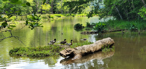 Hiking Area «Gold Branch Trail», reviews and photos, 6156 Lower Roswell Rd, Marietta, GA 30068, USA