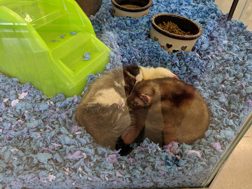 Pet Supply Store «Petco Animal Supplies», reviews and photos, 233 S Stewart Rd, Liberty, MO 64068, USA