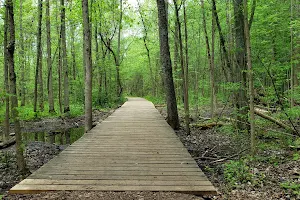 Trent University Nature Areas image