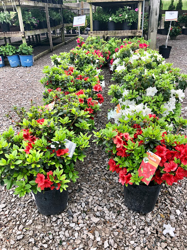 Pet Supply Store «Bethel Feed & Supply Pet & Garden Center», reviews and photos, 528 W Plane St, Bethel, OH 45106, USA