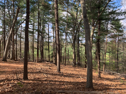 Park «Sweets Knoll State Park», reviews and photos, 1387 Somerset Ave, Dighton, MA 02715, USA