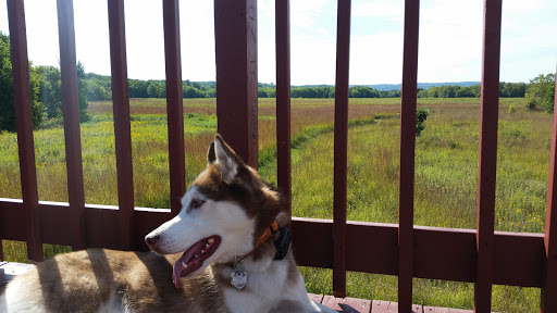 Nature Preserve «Kishwauketoe Nature Conservancy», reviews and photos, 251 Elkhorn Rd, Williams Bay, WI 53191, USA