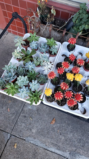 Florist «The Corner Market», reviews and photos, 3426 Greenville Ave, Dallas, TX 75206, USA