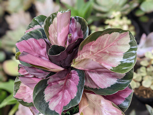 Home Improvement Store «The Home Depot», reviews and photos, 1095 Pullman St, Anaheim, CA 92807, USA