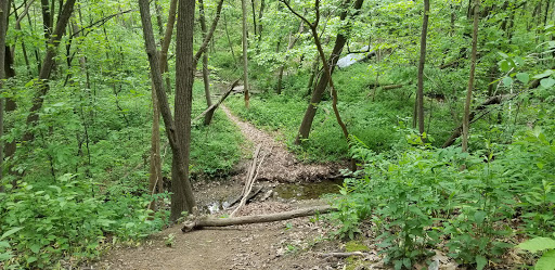 Park «Lions Park», reviews and photos, 8875 McEvilly Rd, Minooka, IL 60447, USA