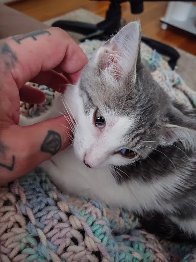 Pet Supply Store «Petco Animal Supplies», reviews and photos, 2520 E 3rd St, Bloomington, IN 47401, USA