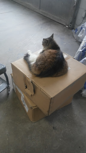 Car Dealer «Genthe Honda», reviews and photos, 15100 Eureka Rd, Southgate, MI 48195, USA