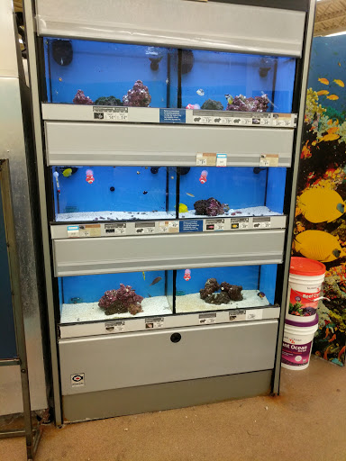 Pet Supply Store «Petco Animal Supplies», reviews and photos, 11331 W Broad St #151, Glen Allen, VA 23060, USA