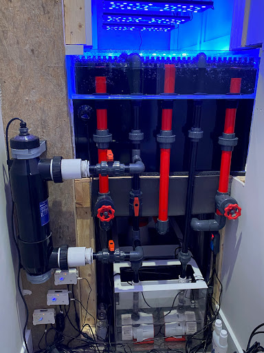 Tropical Fish Store «Glasscages.com LLC», reviews and photos, 1500 E Piney Rd, Dickson, TN 37055, USA