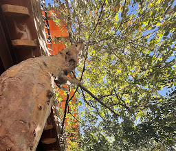 Las Quince Letras Restaurante photo