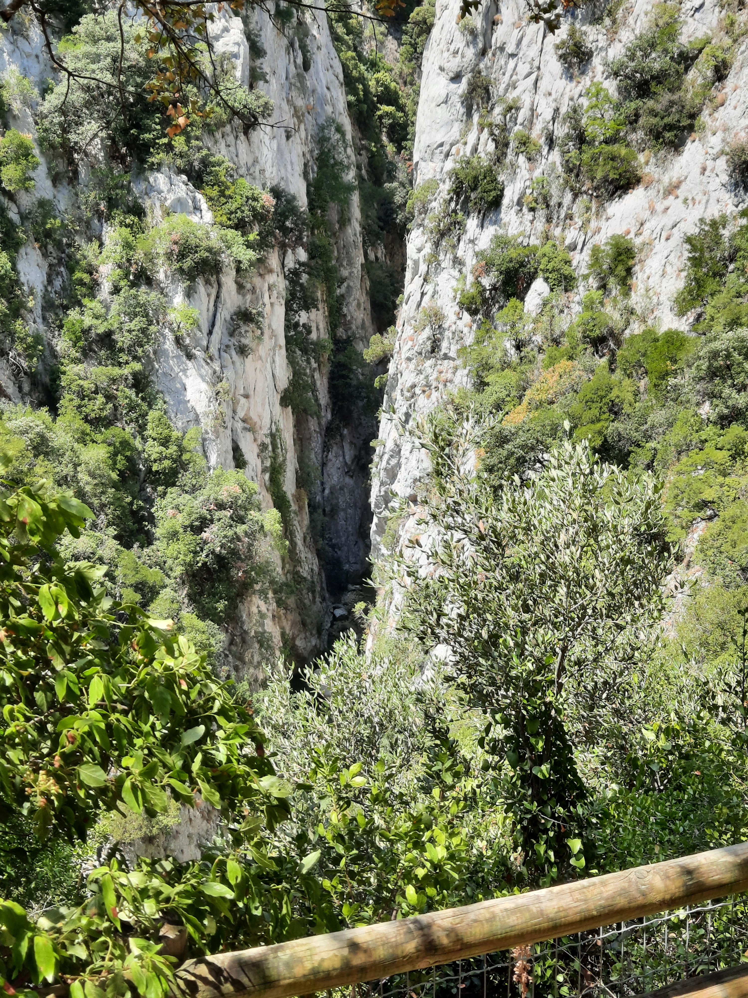 Photo n° 7 de l'avis de léa.� fait le 06/08/2022 à 15:32
