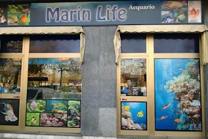 Marin Life Acquario image