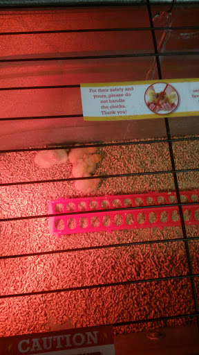 Animal Feed Store «Wilco Farm Store», reviews and photos, 3408 Hunt St NW, Gig Harbor, WA 98335, USA