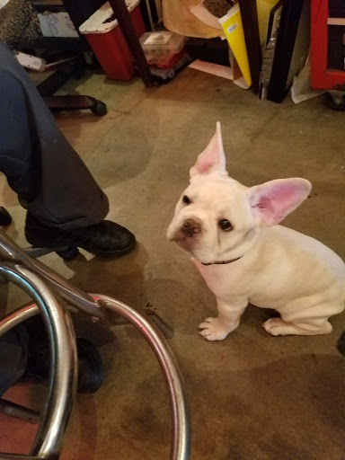 Tattoo Shop «Tinta Rebelde Custom Tattoos», reviews and photos, 133 E 3rd St, Los Angeles, CA 90013, USA