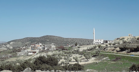 Tatgemriği Köyü Camisi