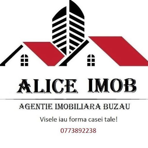 Opinii despre ALICE IMOB S.R.L. în <nil> - Agenție imobiliara