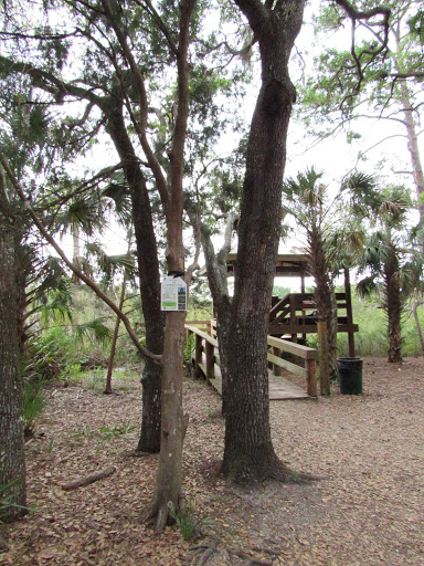 Park «Hammock Park», reviews and photos, 1945 San Mateo Dr, Dunedin, FL 34698, USA