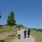 Photo n°7 de l'avis de Mike.a fait le 12/05/2018 à 04:29 sur le  Kirchberghäuschen à Bensheim