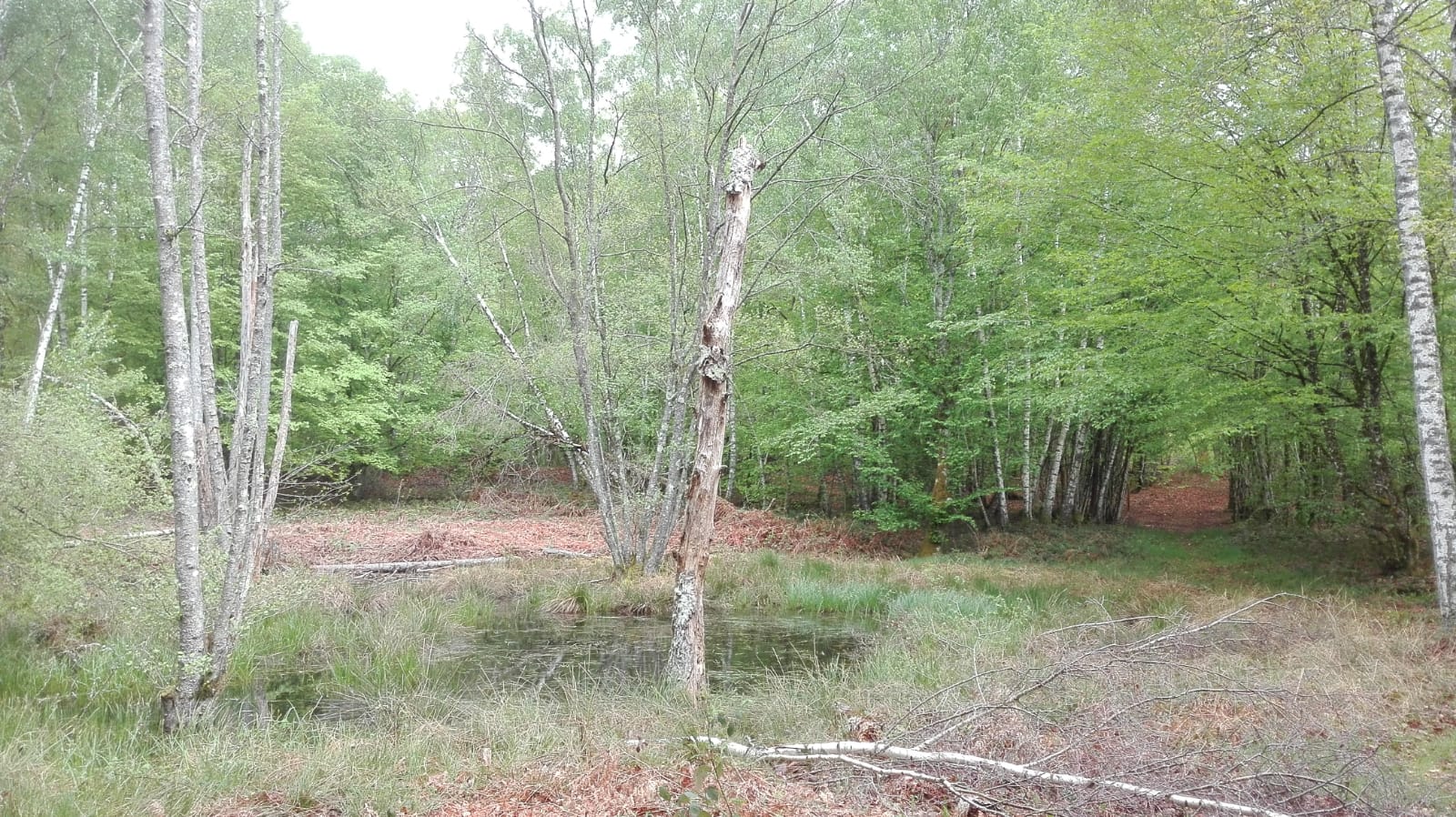 Photo n° 4 de l'avis de Rafael. fait le 24/04/2019 à 20:04
