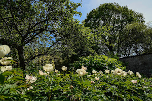 Trinity College Botanical Gardens