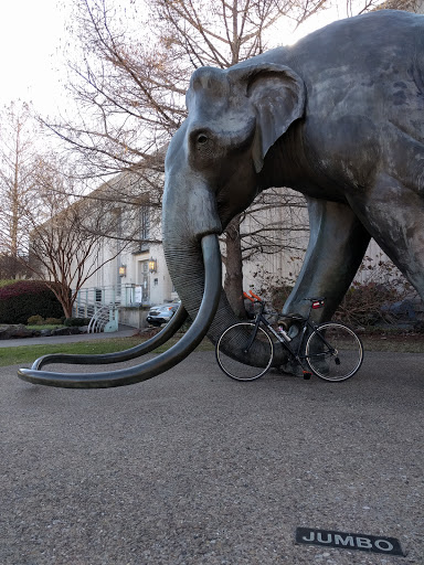 Park «Friends of Fair Park», reviews and photos, 1121 1st Ave, Dallas, TX 75210, USA