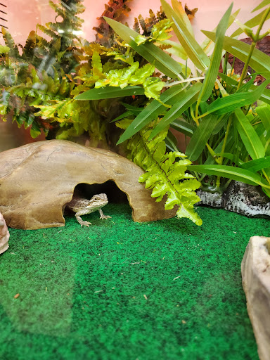 Pet Supply Store «Pet Supplies Plus», reviews and photos, 2410 Augusta Rd, West Columbia, SC 29169, USA