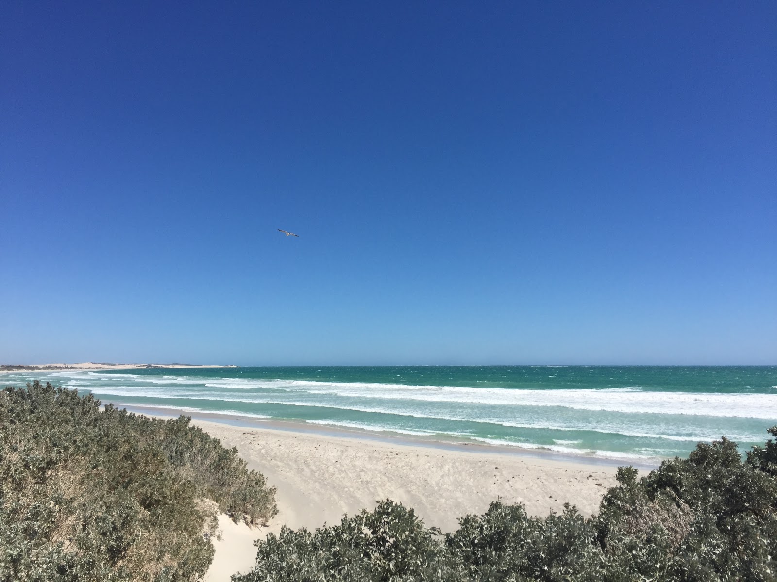 Photo of Tarcoola Beach with turquoise pure water surface