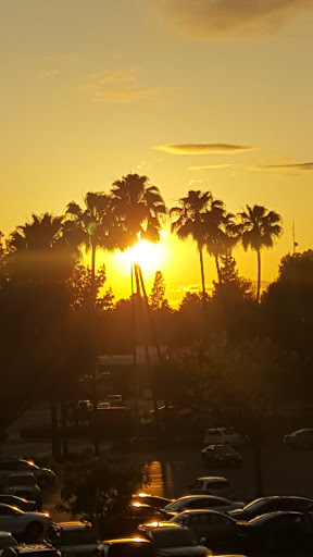 Grocery Store «Vons», reviews and photos, 777 S Glendora Ave, West Covina, CA 91790, USA