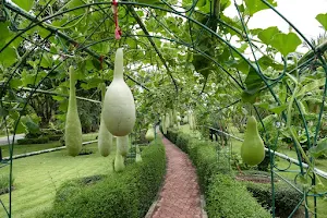 Bung Chawak Vegetable Park image