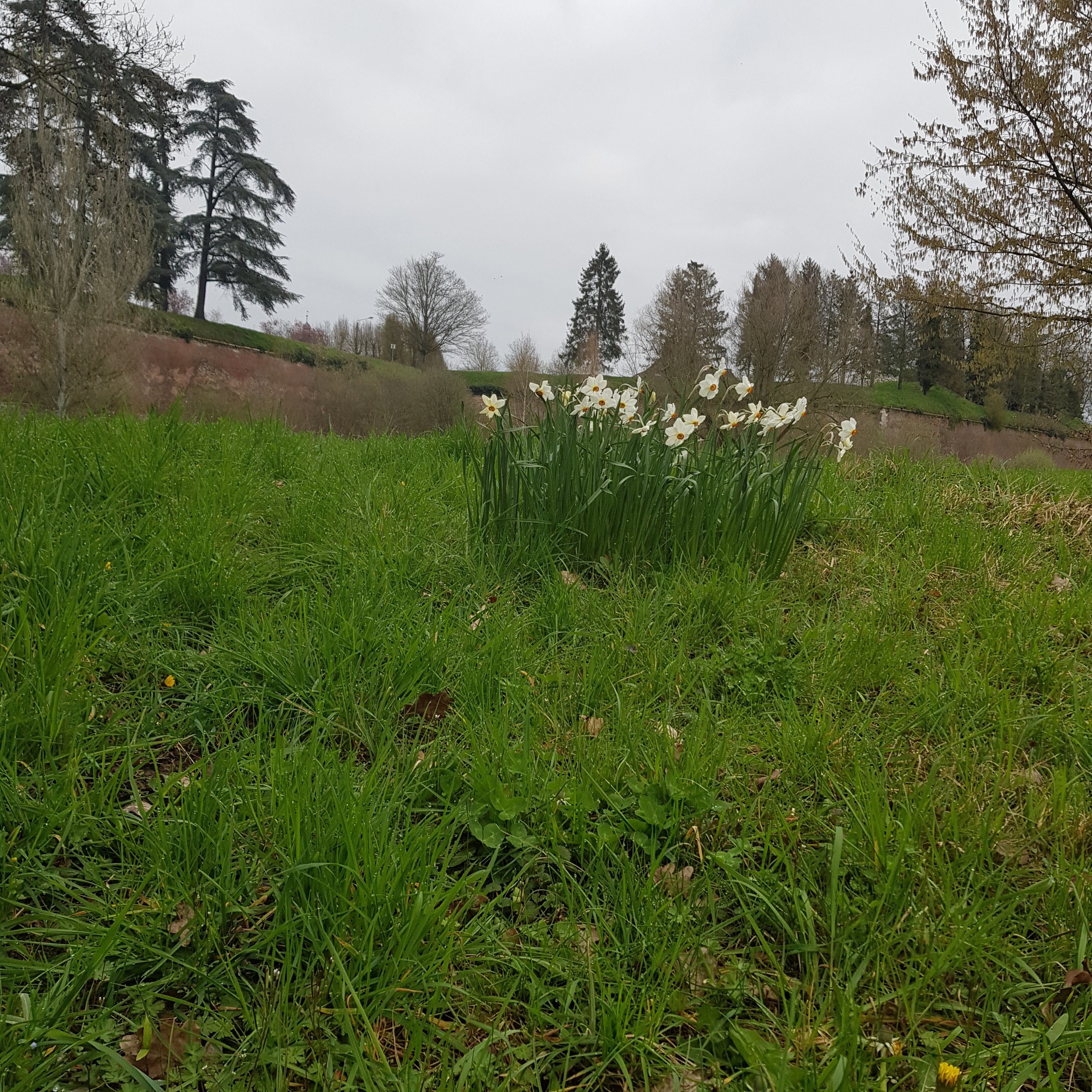 Photo n° 12 de l'avis de Gigi.t fait le 08/04/2023 à 11:16
