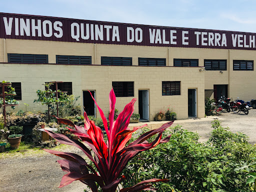 Logo da empresa - Vinicola Pampas Gaucha